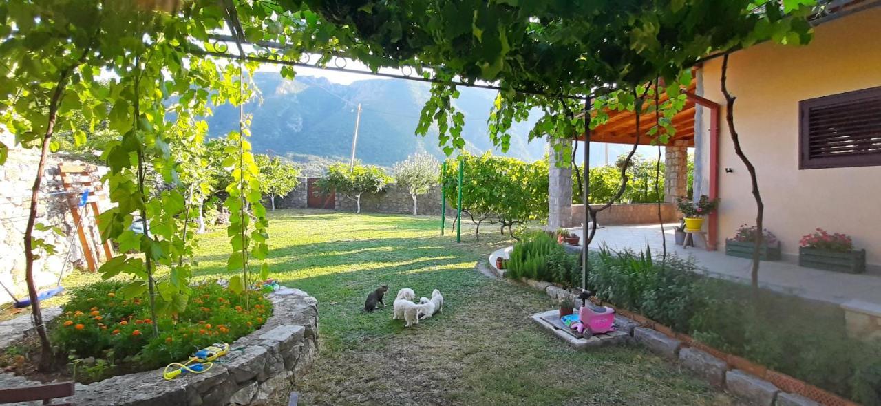 Vila Pegaz Virpazar Exterior photo