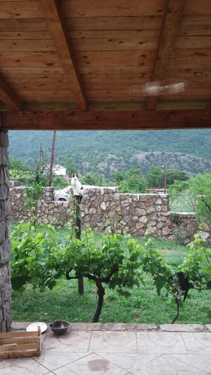Vila Pegaz Virpazar Exterior photo